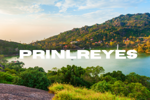 The Mystery Of Prinlreyes: Origins, Features, And Future Insights