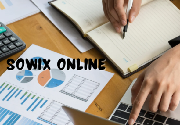 Sowix Online: How It Can Transform Your Project Management Experience